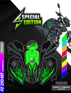 KIT FZ 250 EN RESINA REF3.PNG