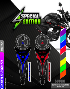 PROTECTOR FI 250-150 EN RESINA.PNG