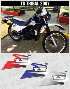 KIT ORIGINAL TS TRIBAL.jpg