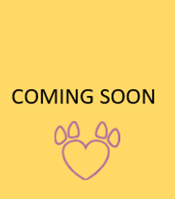 coming soon_edited.jpg