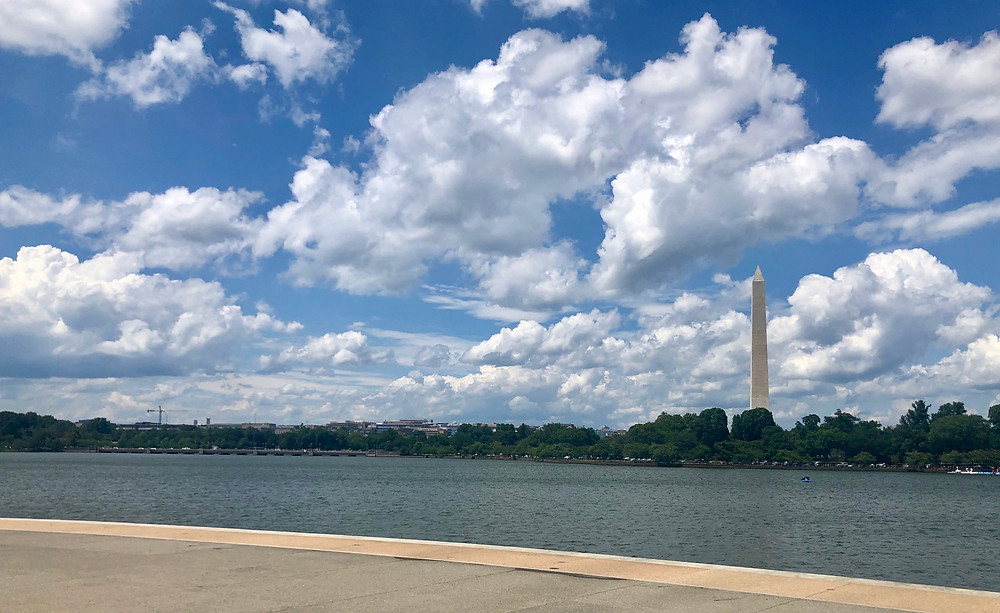 We lucked out with beautiful weather in D.C.