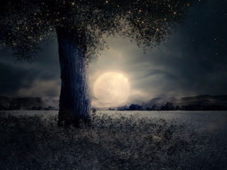 PLEINE LUNE DU 14 JUIN 2022 EN SAGITTAIRE