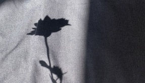 ¿Luces o Sombras?