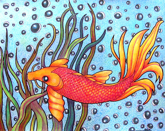Ojos de Pescado (Fish Eyes).jpg