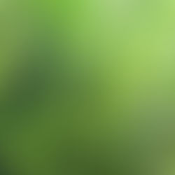 植物美容科学®︎とは