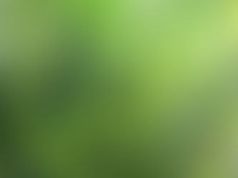 植物美容科学®︎とは