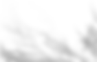 Recurso 4_edited.png