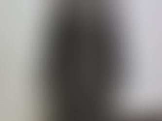 スウェーデン軍ウールライナー