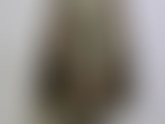 ハンガリー軍ハリケーンパターンジャケット