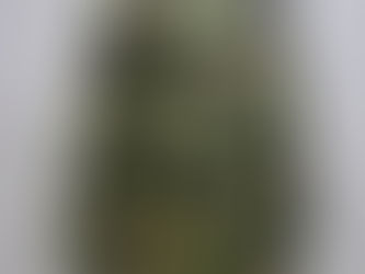 チェコスロバキア軍サラマンダーカモジャケット