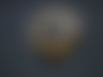 フランス軍レザーベルト