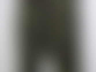 スイス軍TAZ90パンツ