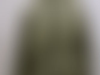 米軍m65 パーカー 用ライナー