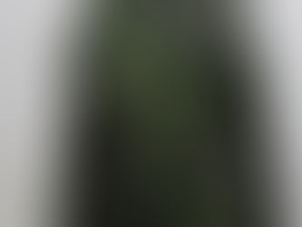 デンマーク軍迷彩ジャケット