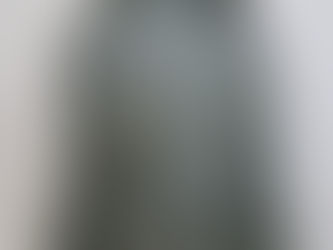 米軍N3Bパーカー 裏地リーフ