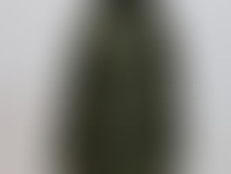 カナダ軍ECWパーカー