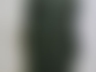 フランス軍AFフロックコート