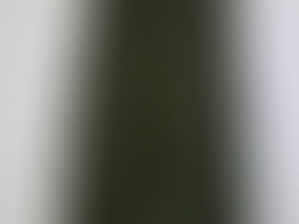 米軍ガスプロテクト パンツ