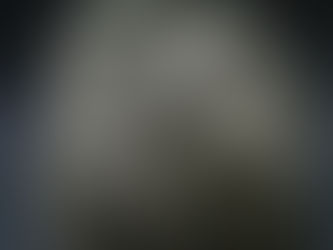 米軍パーソナルエフェクトバッグ