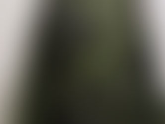 デンマーク軍迷彩ジャケット