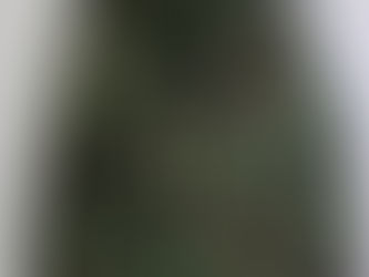 米軍ECWCSゴアテックスパーカー