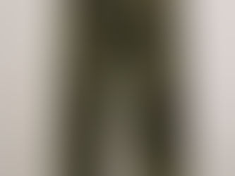 フランス軍リザードカモm47パンツ