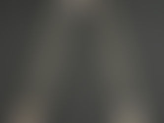 チェコ軍サスペンダー