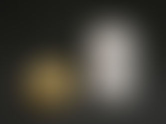 スウェーデン軍アルコールバーナーボトルセット