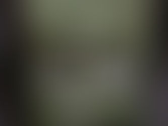 スウェーデン軍ナイロンリュック