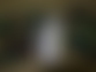 ベルギー軍ジグソーカモテントシート