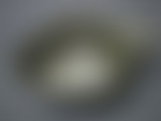 スウェーデン軍ククサプラスチックカップ