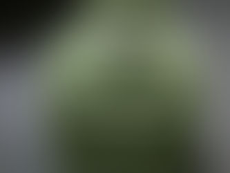 ノルウェー軍キャンティーン