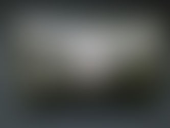 スイス軍PVCガスマスクバッグ