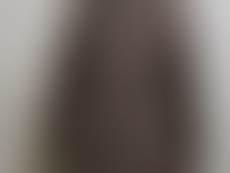 オーストリア軍チョコチップカモパーカー