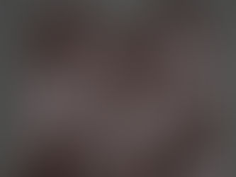 フランス軍レザーウールグローブ