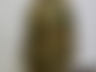 オーストラリア軍ゴアテックスパーカー