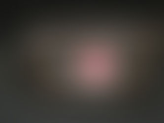 スイス軍PVCショルダーバッグ