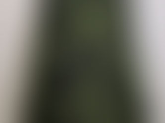 デンマーク軍迷彩シンパテックパーカー