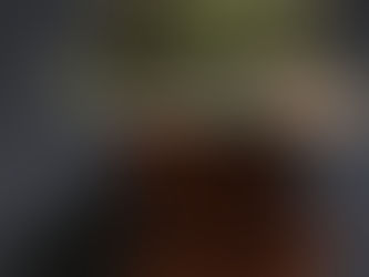 ノルウェー軍ブーニー