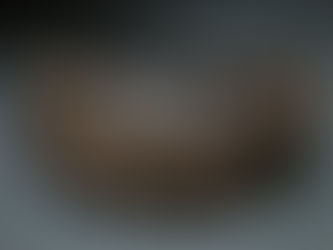 スウェーデン軍バンダリア