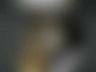 スウェーデン軍OPTIMUSストーブクッカー