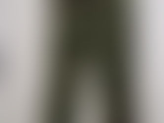 フランス軍リザードカモパラシュートパンツ