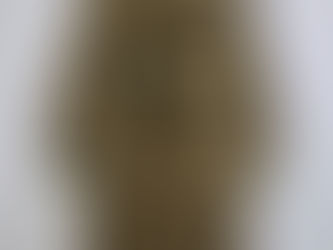 オランダ軍モーターサイクルジャケット