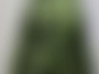 デンマーク軍迷彩ジャケット