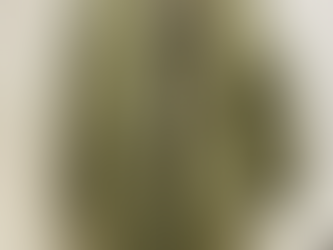 米軍m65ライナー