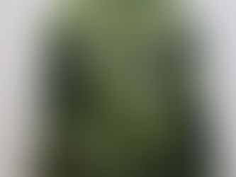 スウェーデン軍m90ジャケット