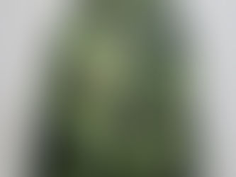 スウェーデン軍ECWCSパーカー