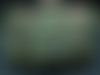 米軍ナイロンカーゴパック