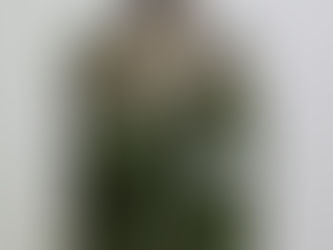 米軍OV1サバイバルベスト