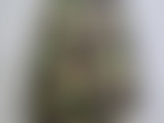 チェコスロバキア軍サラマンダーカモジャケット